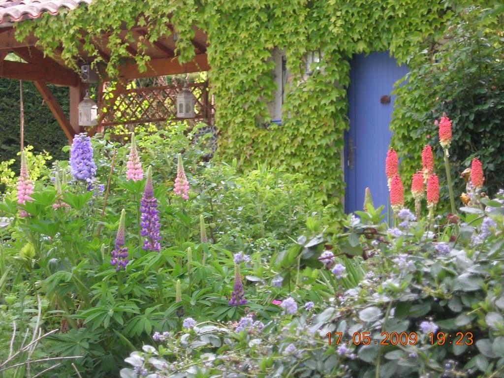 Le Colombier Acomodação com café da manhã Villeneuve-sur-Lot Exterior foto